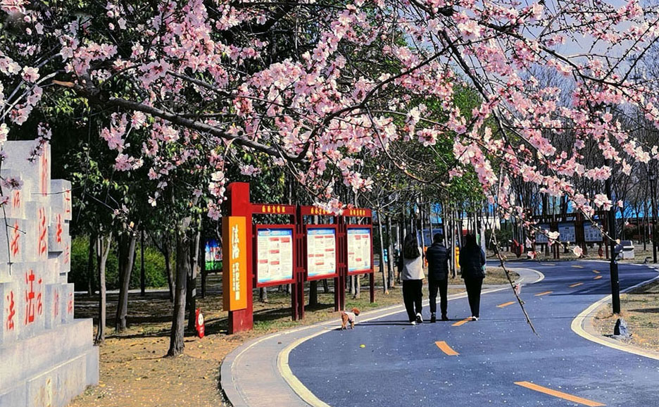 梅園春曉